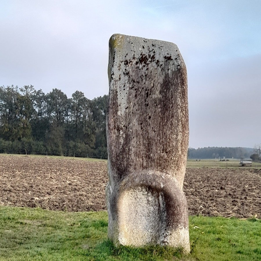 bad-buchau-skulpturenfeld