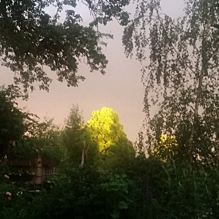kurz-vor-dem-gewitter