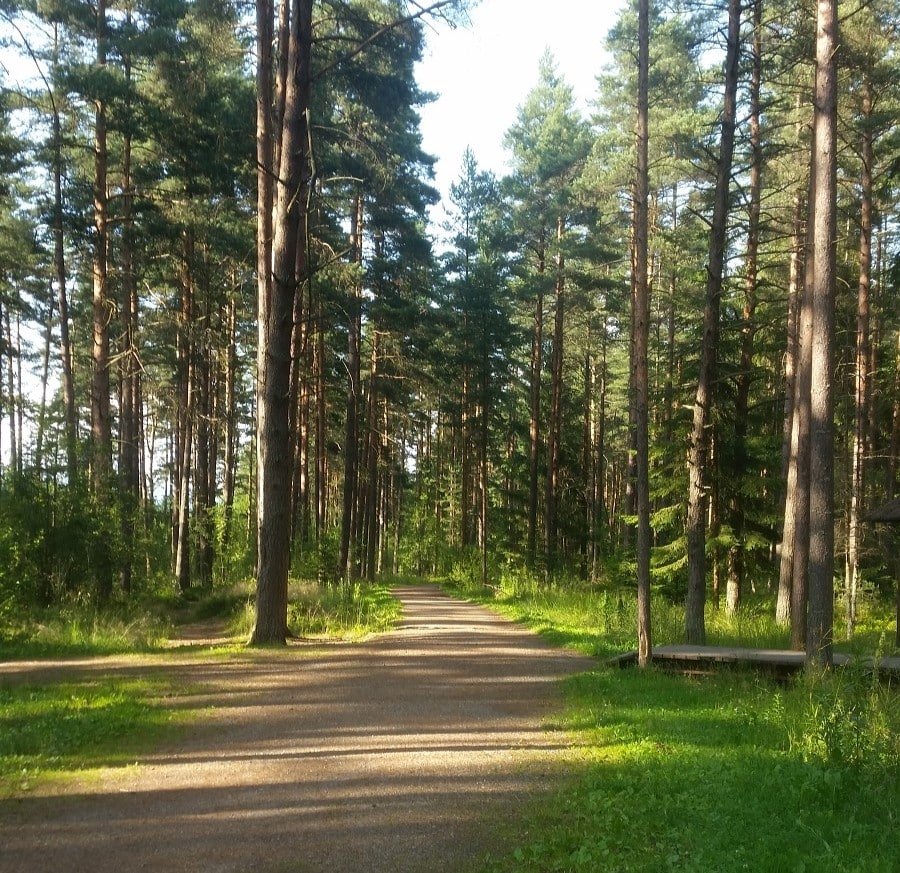 wackelwald