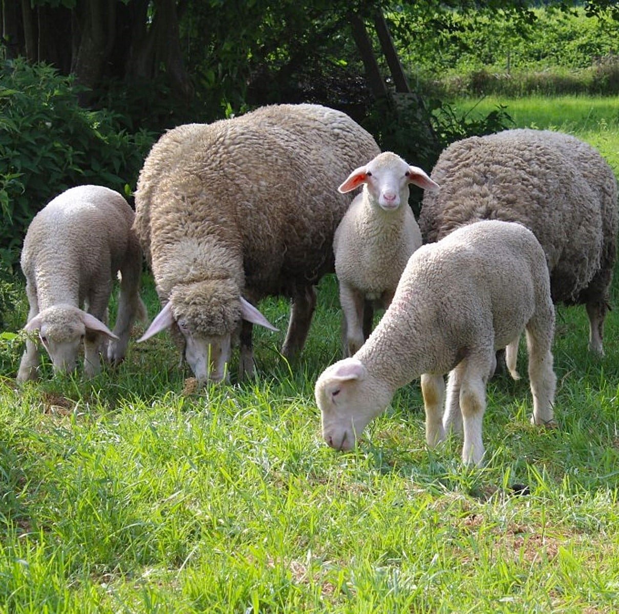 mutter-kind-gruppe