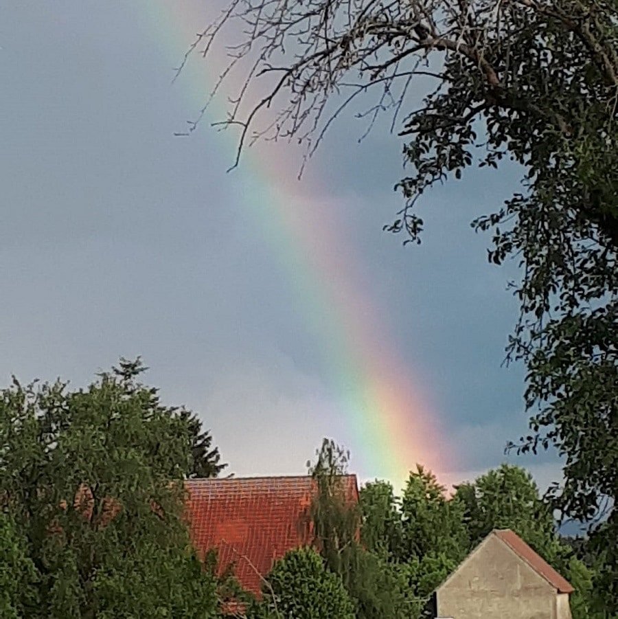 regenbogen